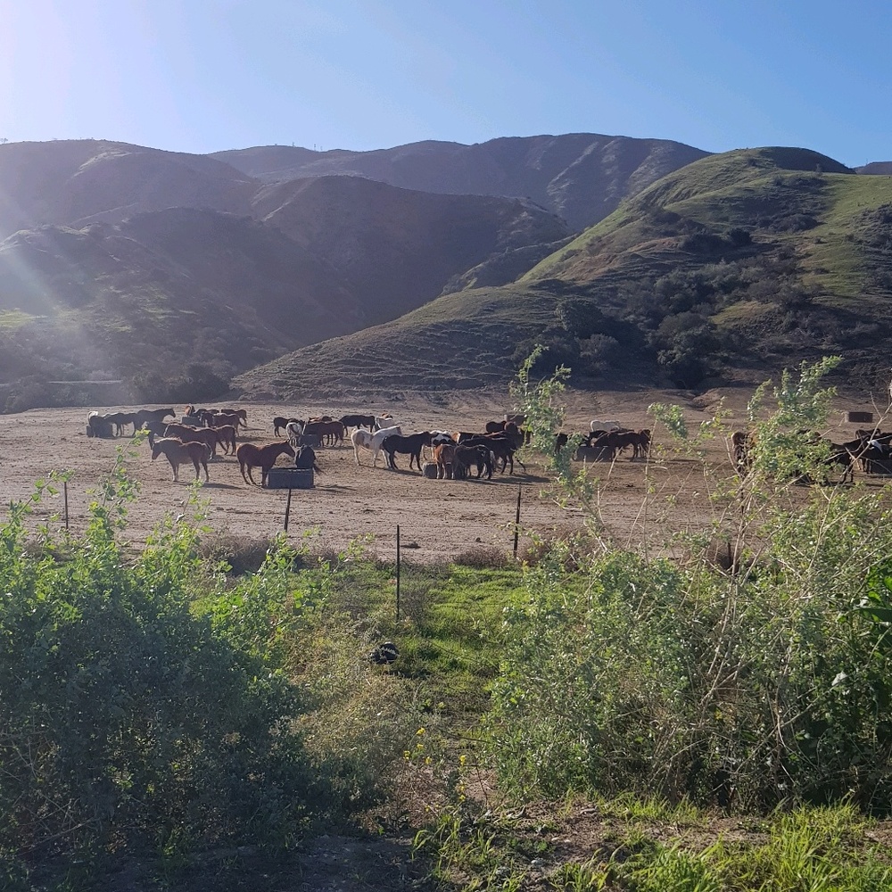 Meet your Posher, Bar